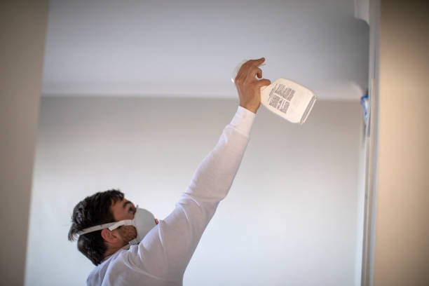 Best Bathroom Mold Remediation in Lambertville, MI