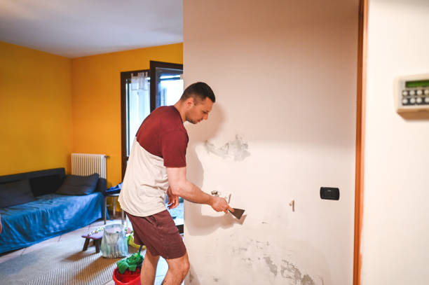  Lambertville, MI Mold Removal Pros